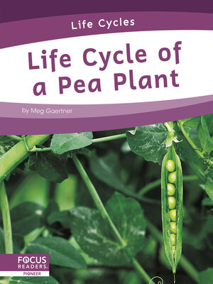 cover image of Life Cycle of a Pea Plant